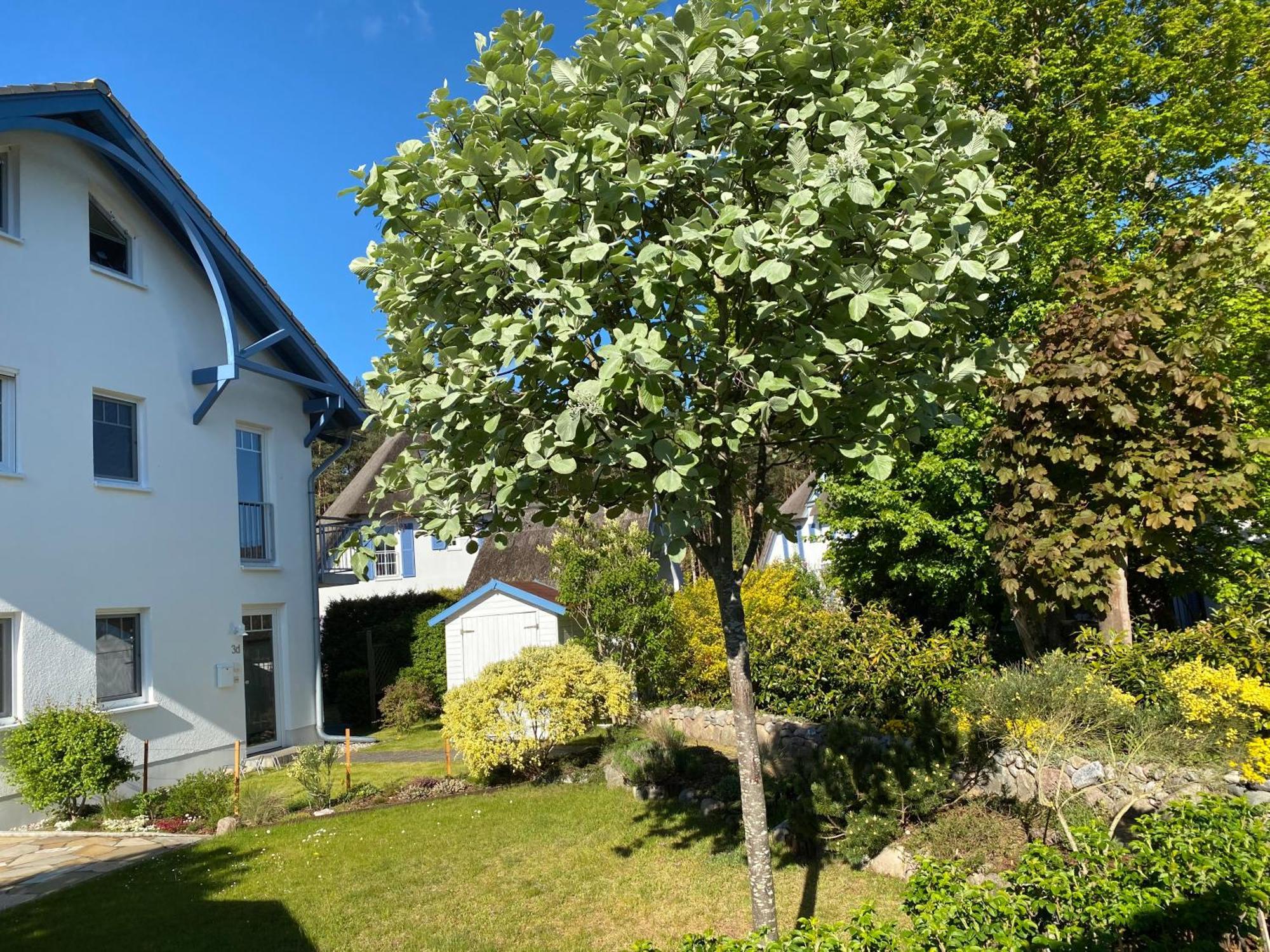 Duenenresidenz Karlshagen - Ferienwohnung Ginsterweg Exterior photo